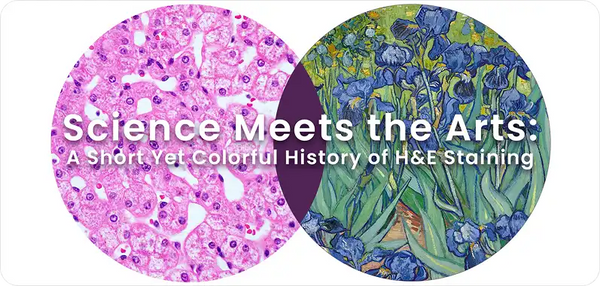 Science Meets the Arts: A Short Yet Colorful History of H&E Staining
