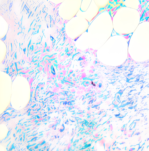 TintoFast CD34