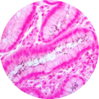 Ancillaries