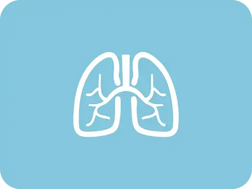 Pulmonary Pathology
