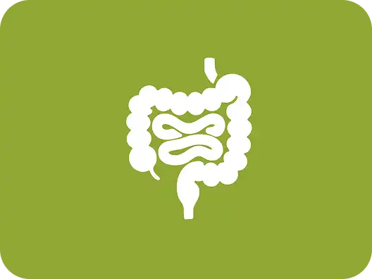 Gastrointestinal (GI) Pathology