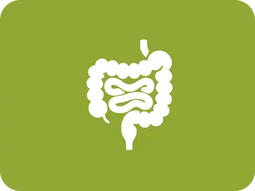 Gastrointestinal (GI) Pathology