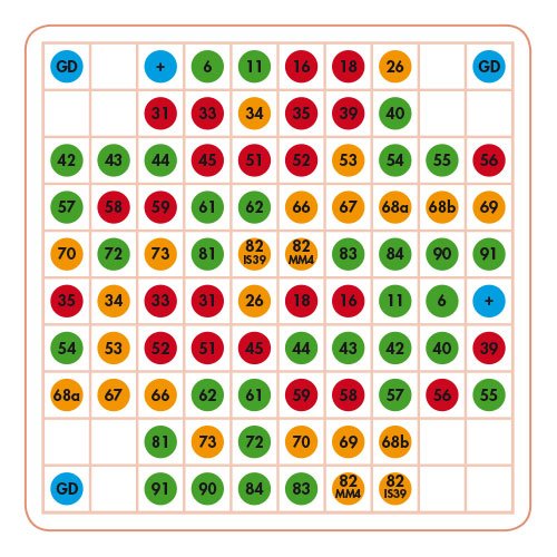 Vision Array