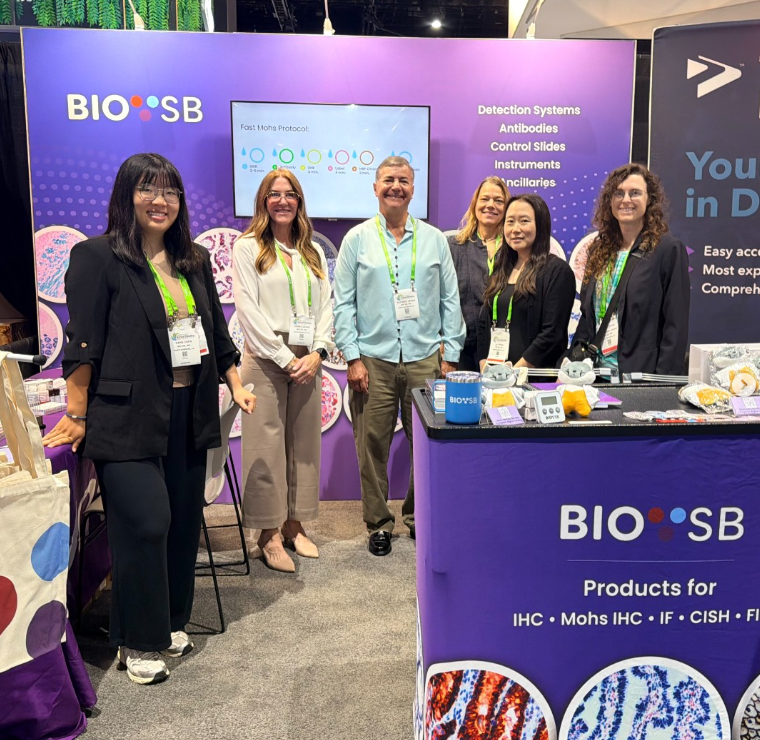 AACR 2026