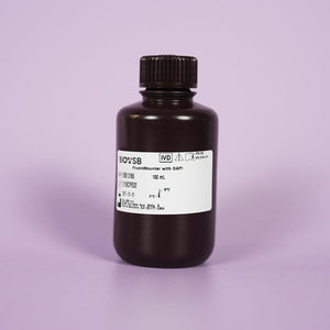 FluoroMounter with DAPI