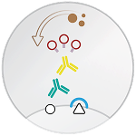 Detection system