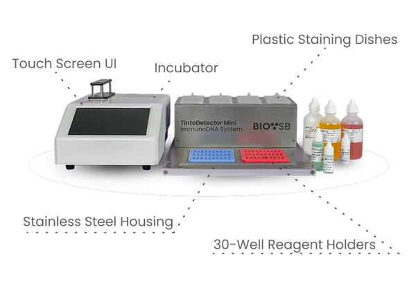 Overview & Features