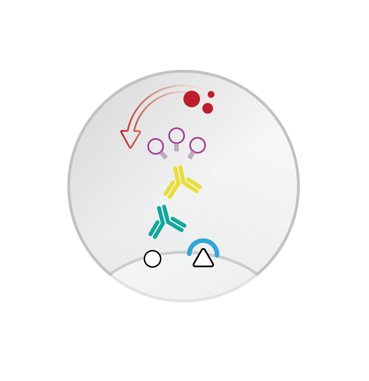 Mouse/Rabbit ImmunoDetector AEC HRP Red