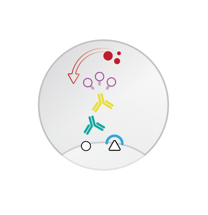 Mouse/Rabbit ImmunoDetector AEC HRP Red