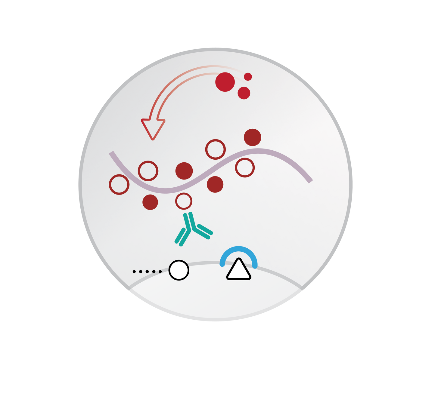 Mouse/Rabbit PolyDetector AEC HRP Red Detection System