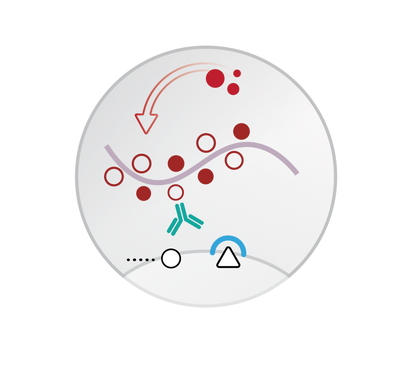 Mouse/Rabbit PolyDetector AEC HRP Red Detection System