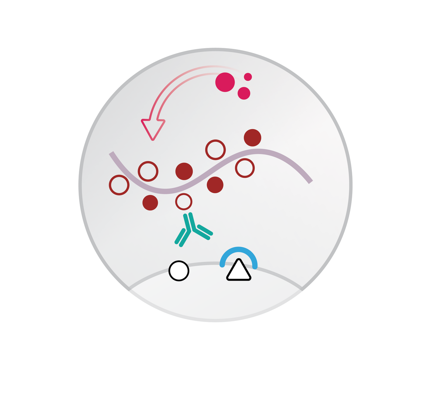 Mouse/Rabbit PolyDetector AP Label