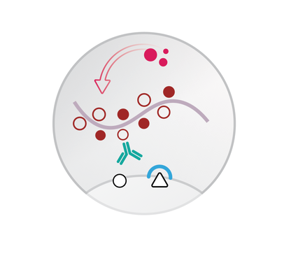 Mouse/Rabbit PolyDetector AP Label
