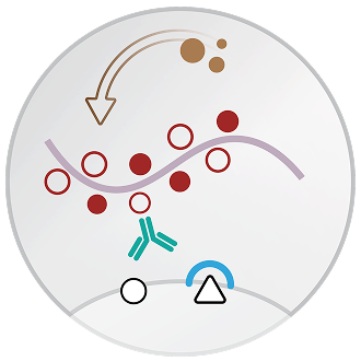 PolyDetector Detection Systems