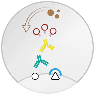 ImmunoDetector Detection Systems